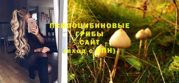 спиды Алексеевка