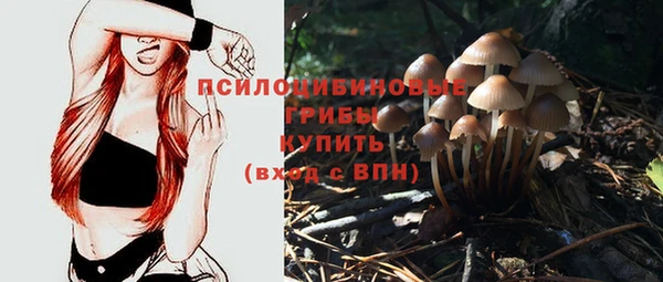 спиды Алексеевка